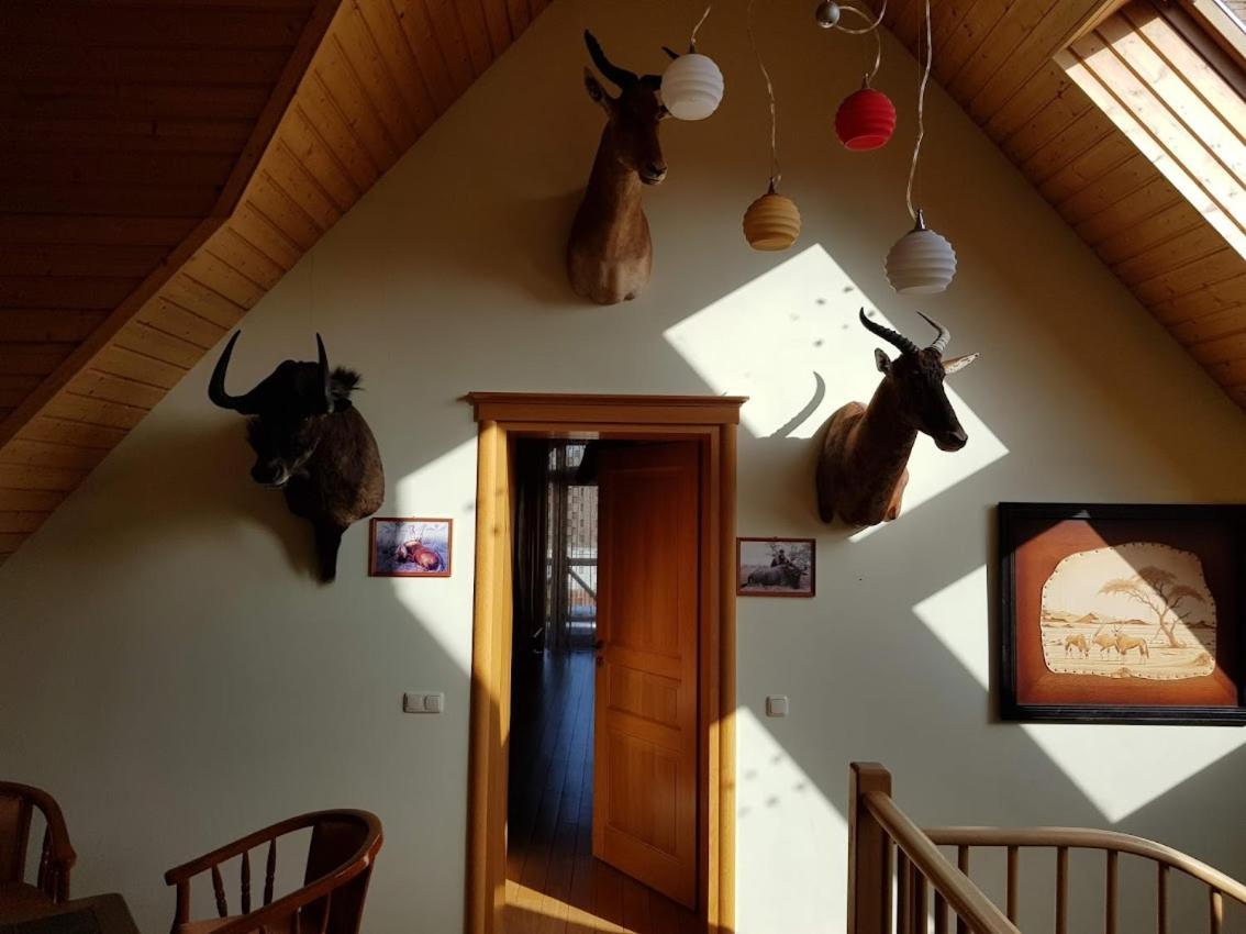 Apartamentai Hunter House دروسكينينكاي المظهر الخارجي الصورة