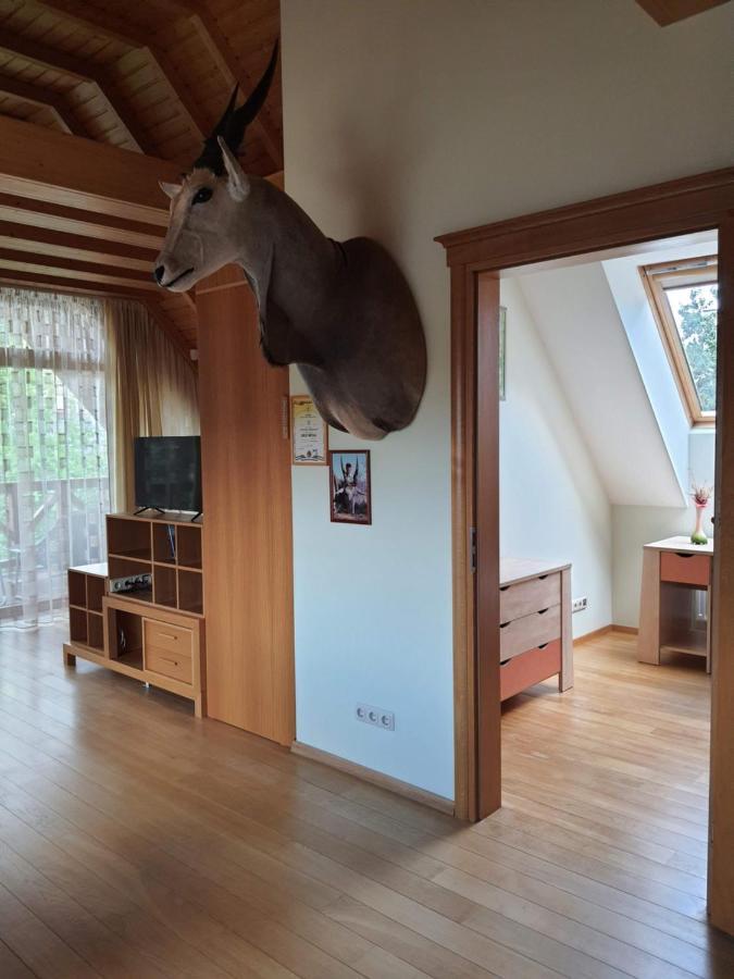 Apartamentai Hunter House دروسكينينكاي المظهر الخارجي الصورة
